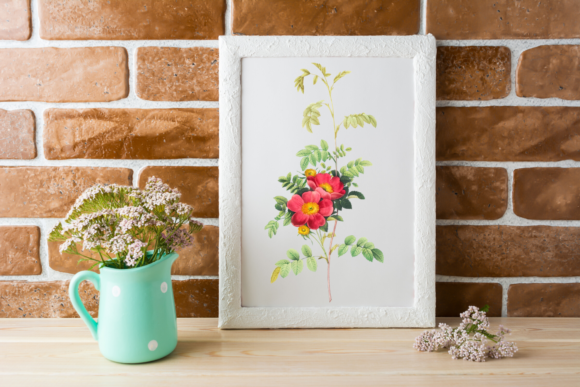 Download Wid Botanical Illustration, Rustic Rose - Rustic rose Collection