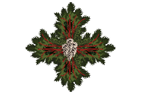 Download Impressive Christmas Wreath #227 - Impressive Collection